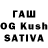 Галлюциногенные грибы Psilocybine cubensis G187211522 1